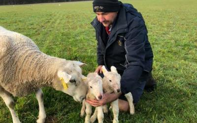 Un-baa-lievable Lambing for Many …